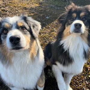 Meet your Posher, Cynthia